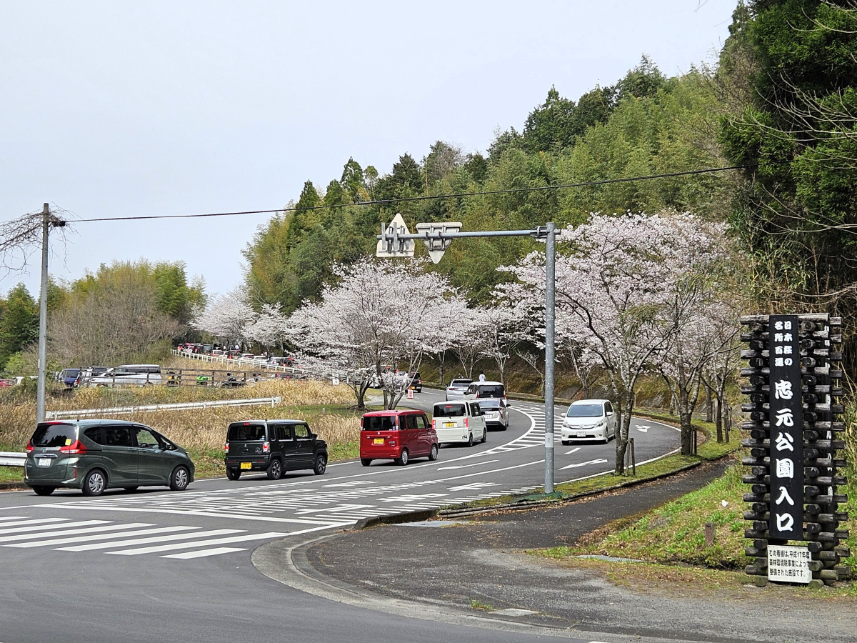 忠元公園桜まつりウィーク アクセス・イベント情報 - じゃらんnet