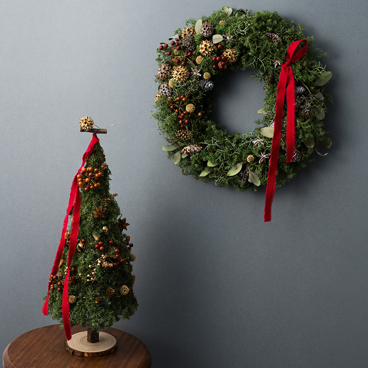 夜に映えるクリスマスツリーの写真・画像素材-Snapmart スナップマート