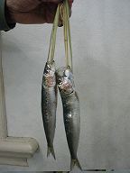 楽天市場 横浜中華街 旧正月 春節 、年貨♪ 錦鯉魚餅 魚形のお餅・正月もち 250ｇ・年貨・お菓子・中国式・正月に欠かせない♪ :紹興酒・中華・和・食の東方新世代