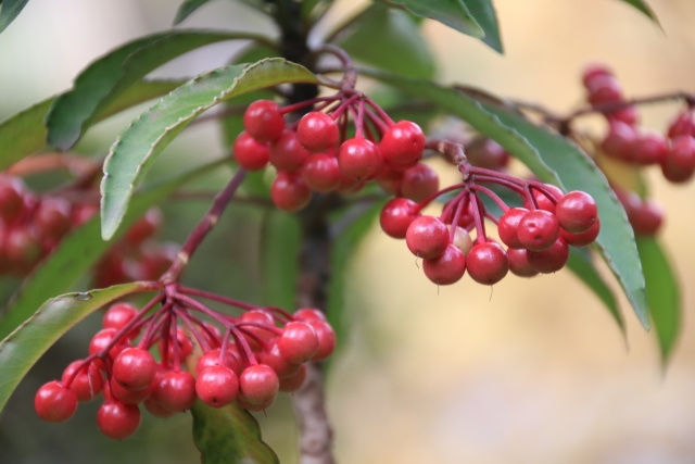 正月 造花 グリーン 実 とりよせ品 南天ピック 赤い実 お正月アレンジ お正月インテリア お正月小物 ベリー 木の実 フェイクグリーン 観葉植物人工植物