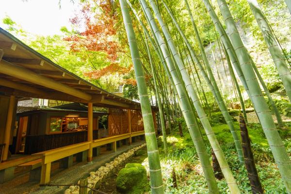 鎌倉さんぽ 報国寺deお抹茶にゃんつるドットコム