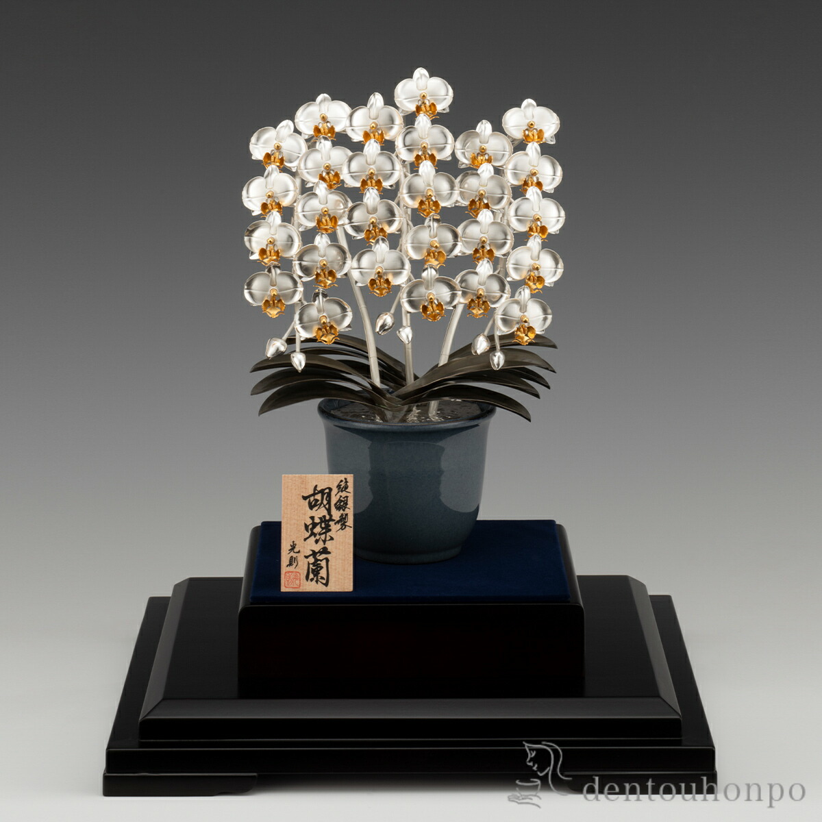 社長就任祝いには厳選された胡蝶蘭がおすすめです 東京23区は送料無料です