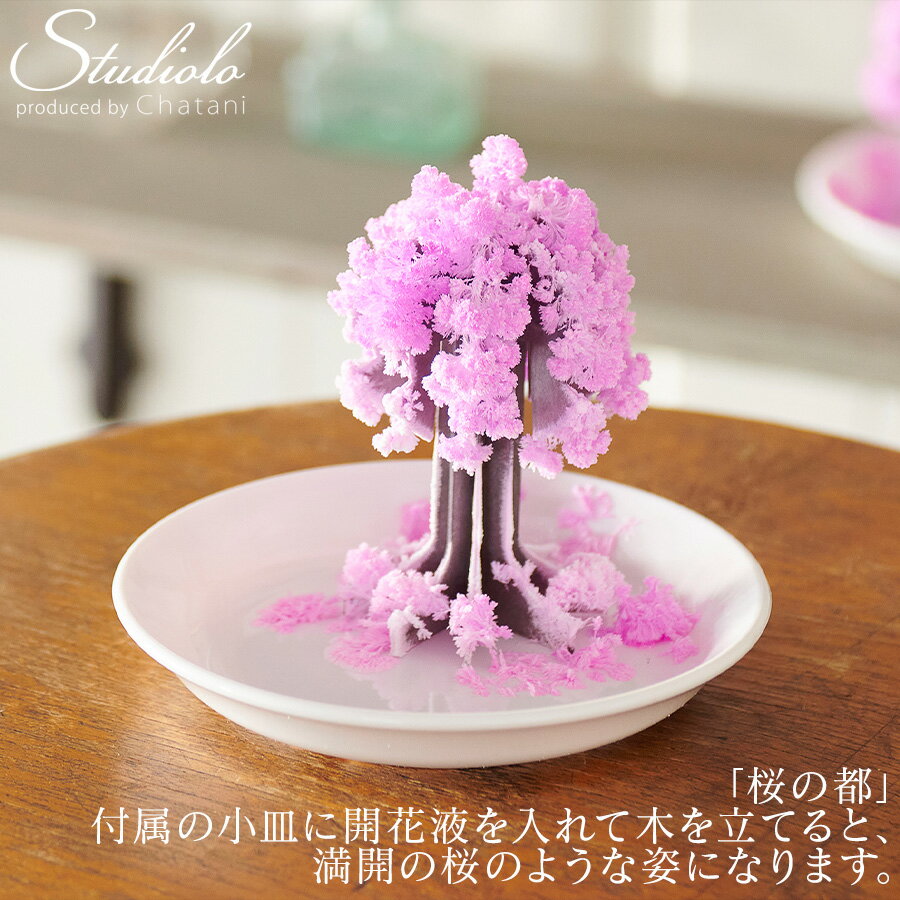 ベランダ ガーデン おしゃれ 雑貨 スリーコインズ 100均 虫除け アロマオイル - roselogバラの剪定開花の記録