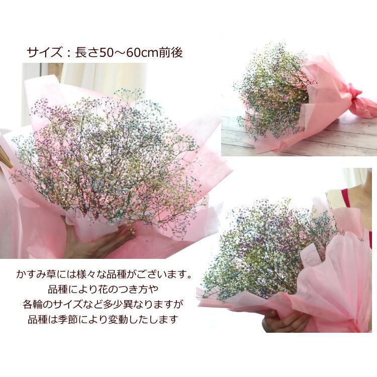 かすみ草 のPompon ブーケ かすみ草 生花 ブーケ 花束 大分県 玖珠郡 丸い形 可愛い 贈り物 ギフト お祝い 清らかな心 幸福ドライフラワー スワッグ PomponChouchou 逆さ吊り フラワーアレンジメント 花言葉 生花ブーケ - 大分県玖珠町ふるさとチョイス -ふるさと納税