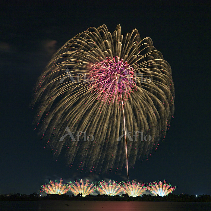 渡良瀬遊水地花火大会への想い渡良瀬遊水地花火大会