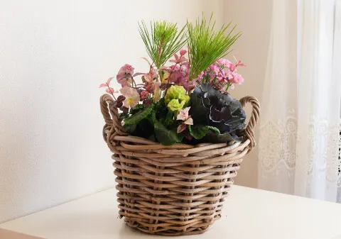 クリスマスやお正月に「ハボタンの寄せ植え」で冬のおうち時間を彩りませんか？インフォメーション