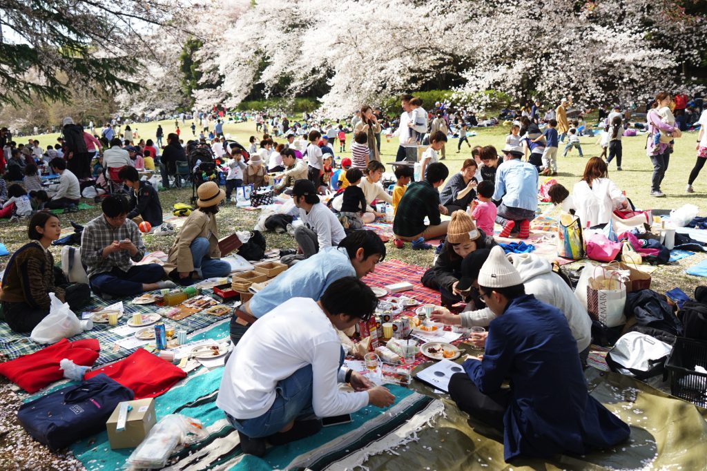 砧公園の桜お花見風景