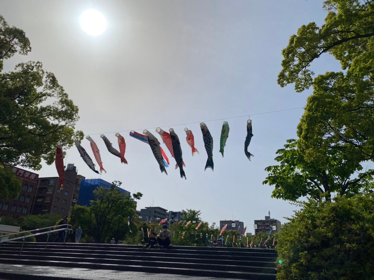 横浜市神奈川区 GW中の5 5まで！反町公園で「こいのぼり大会」開催中♪号外NET 横浜市神奈川区