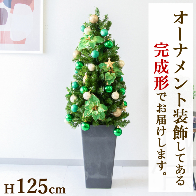 クリスマスの庭づくり！ 飾り付けのポイントとおすすめイルミネーションGardenStoryガーデンストーリー