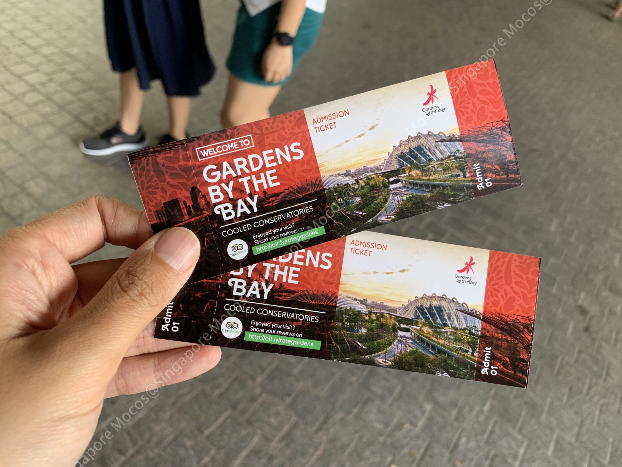 フローラルファンタジーチケットTiqets