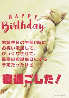 激カワおもしろスタンプ