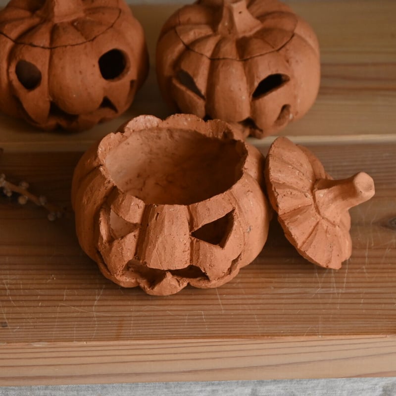 ハロウィンにかぼちゃを飾るのはなぜ？由来を知っておしゃれに飾ろう！ – 土と風の植物園