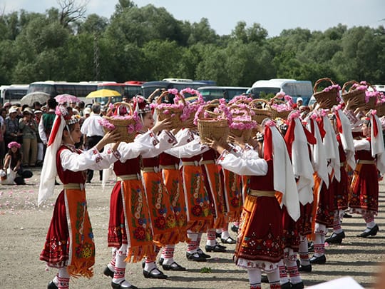 2年ぶりに開催！ブルガリアのバラ祭り 近隣の村でのバラ摘みの儀式地球の歩き方