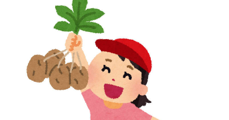 お芋掘りで掘れたさつまいもを見せる子供 男の子1 の無料 フリー イラストかわいい手描きの無料素材「てがきっず」保育園・小学校・介護施設にぴったりのフリー素材イラスト