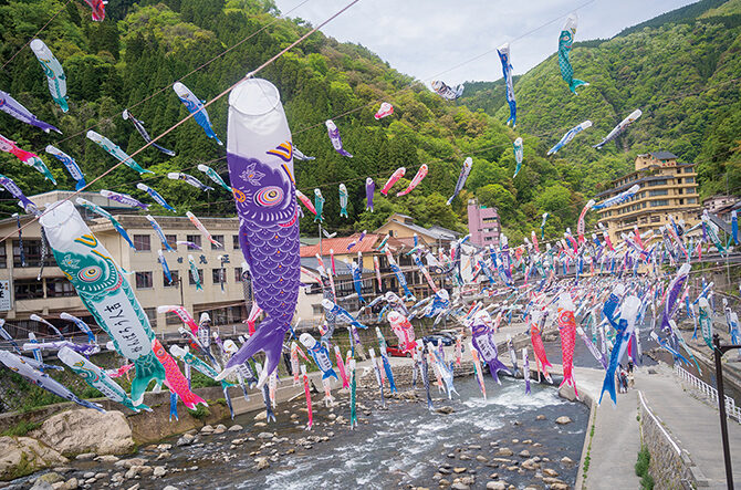 夕方の鯉のぼりもきれいです🎏niceatsugi地蔵橋親水広場鯉のぼりこいのぼり菜の花夕日厚木市厚木