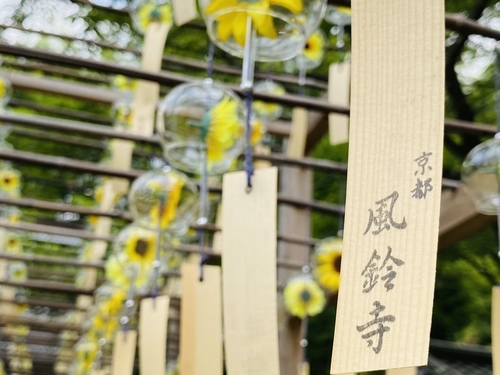 京都の夏、風鈴といえば正寿院2024風鈴まつり 6月1日～9月30日まで※本年は期間延長上の段の赤は太陽、下の段は万物を表しており、天地自然の理に慈しみの心を持って共存していく願いを込めました