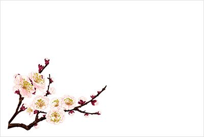お歳暮に最適な送り状・お礼状の絵葉書の無料テンプレートさきちん絵葉書