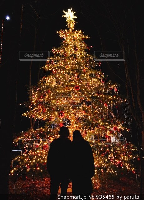 カップル 恋人 東京観光 デート 表参道 クリスマスイルミネーション スマホで記念撮影 写真素材4827469- フォトライブラリ