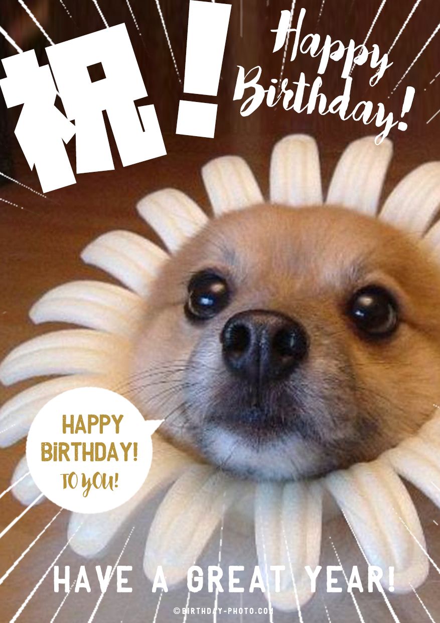 ハッピーバースデーツーユーカード面白い野生動物に 一輪車 - おもちゃのベクターアート素材や画像を多数ご用意 - おもちゃ, お祝い, くつろぐ -iStock