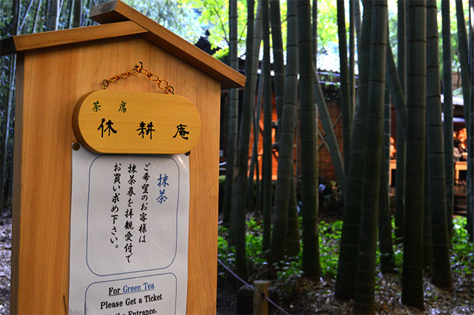 鎌倉の竹の庭で抹茶を楽しめるお寺「報国寺」よりみち生活