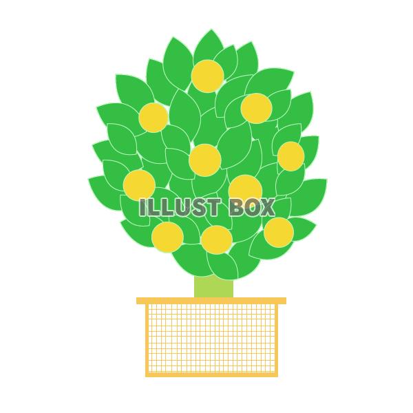 ひな祭りのお花 桜と橘の作り方 つまみ細工