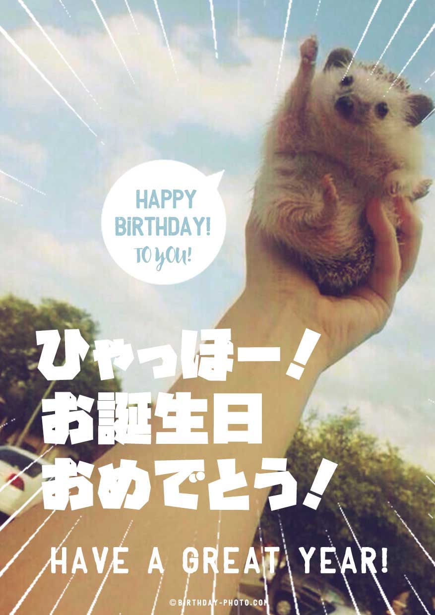 爆笑 笑える 誕生日メッセージ 面白い 画像TikTok