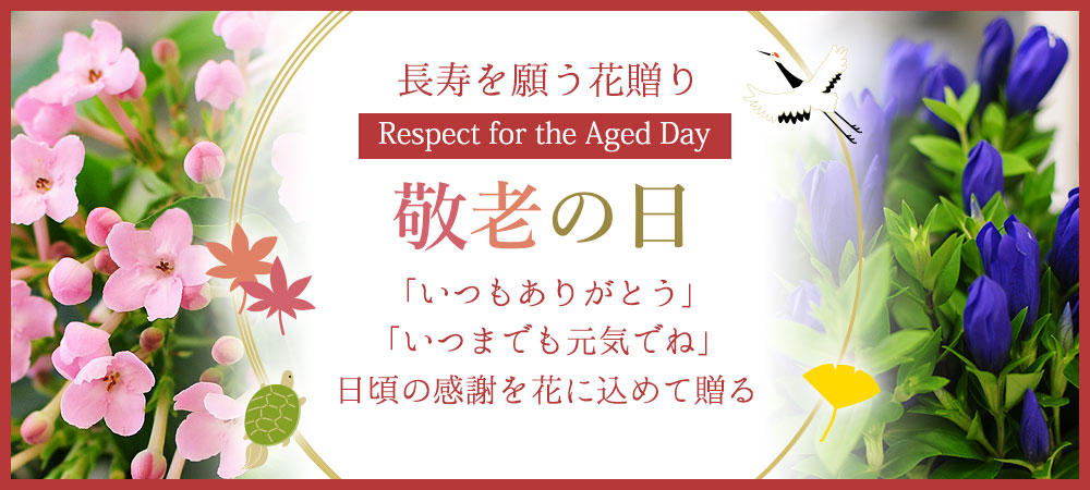 楽天市場 敬老の日 シール プレゼント用 おめでとう 24枚 送料無料 円形 丸型 Happy Father's Day : ラクガイ 楽天市場店