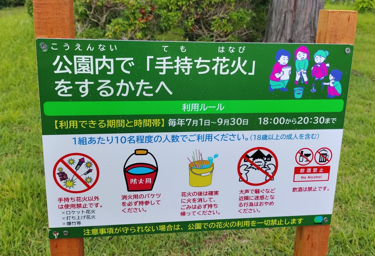 万博花火プロジェクト 万博夜空がアートになる日