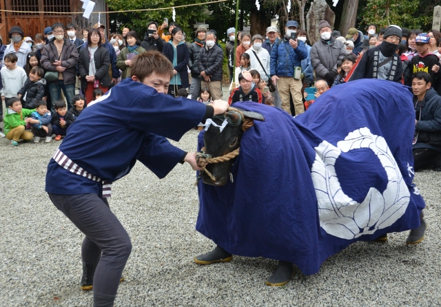 珍寺大道場 若宮さん