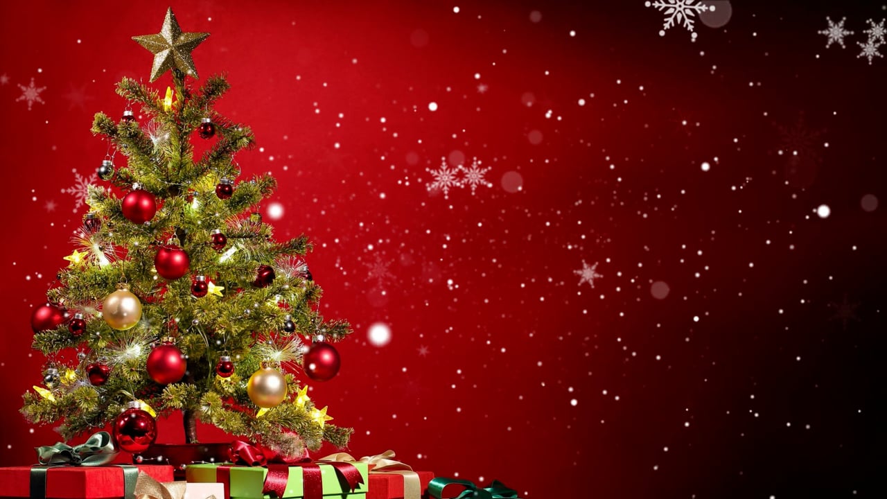 西南学院大学 クリスマスメッセージ動画を公開しました西南学院大学