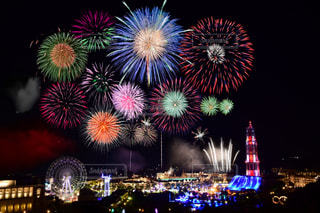 夏の夜空を彩る花火大会と、ペンギンラベルの日本酒 - 酒高蔵・梅酒屋