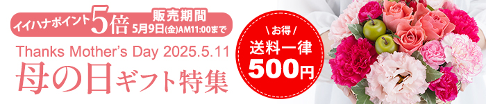 マザーズ・デイカタログ株式会社twin