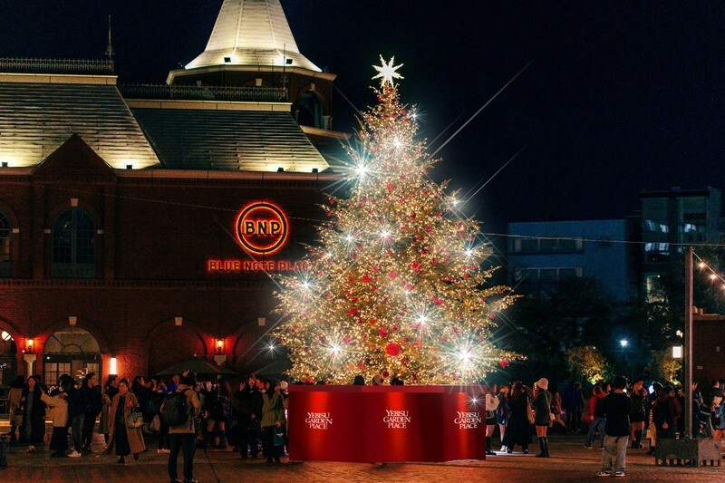 恵比寿ガーデンプレイス クリスマスイルミネーションの写真素材FYI08234220ストックフォトの QleanMarket キュリンマーケット