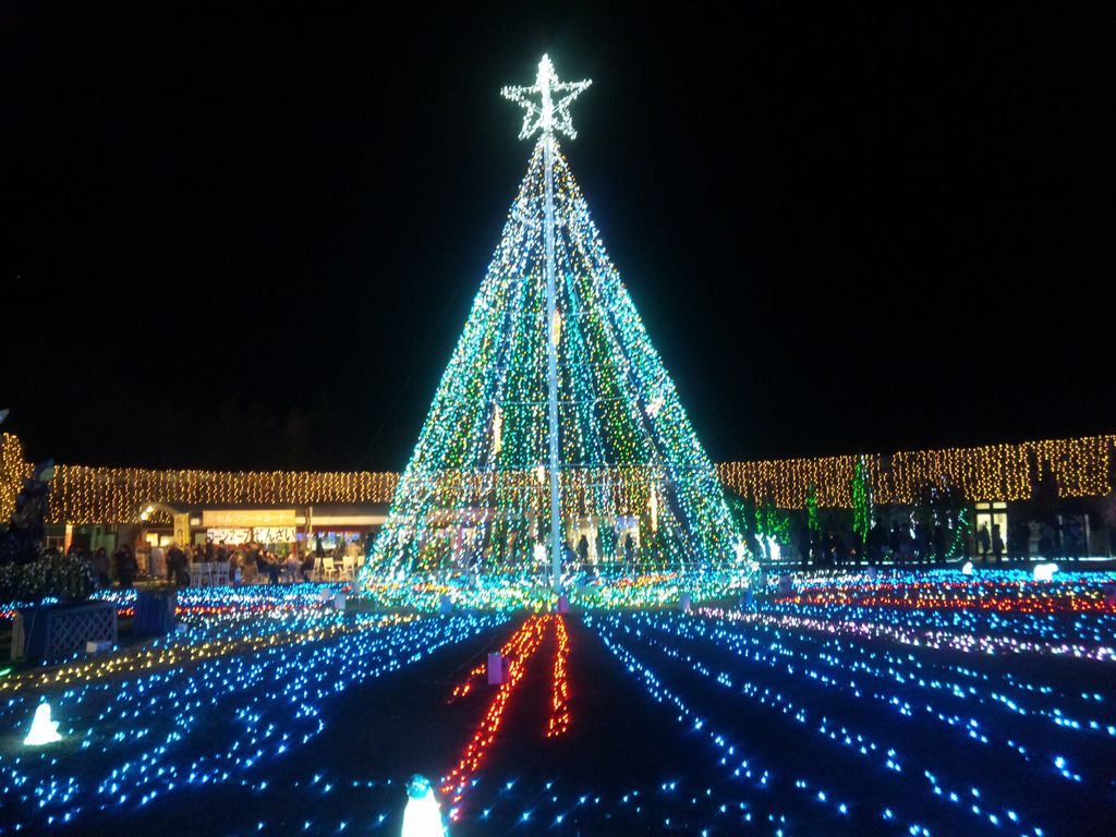ことなみ土器どき広場 アソビュー！