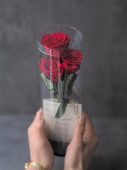 誕生日に贈るバラ相手別・色別・本数別について観葉植物・お花の通販 AND PLANTSアンドプランツ