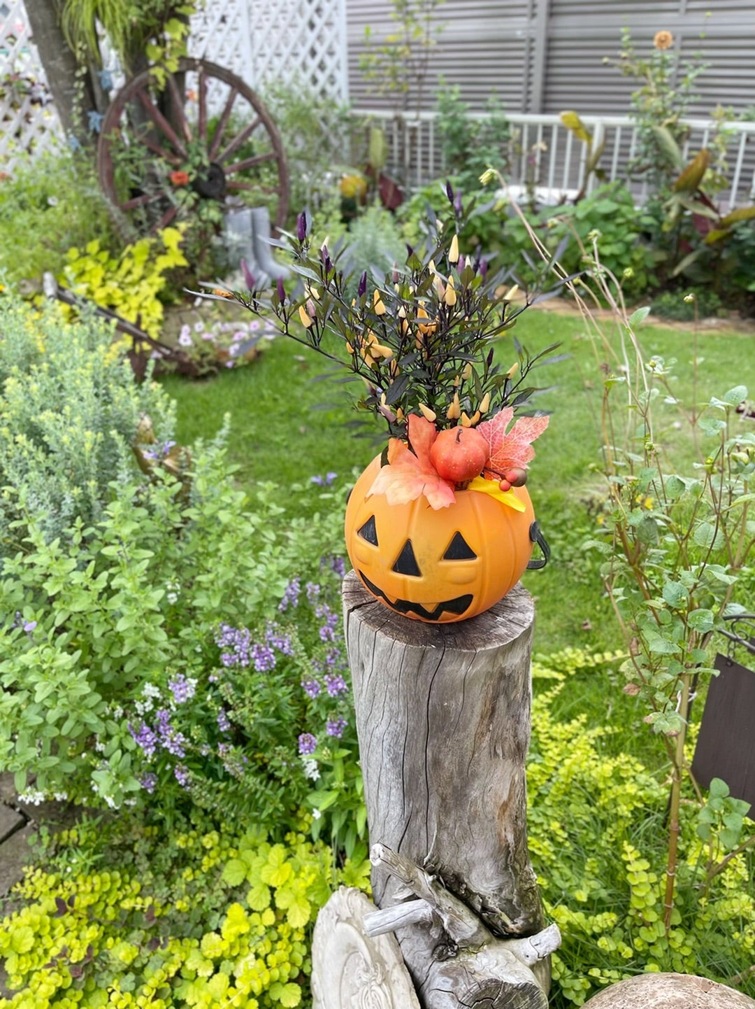 楽天市場 ハロウィン ガーデニング 飾りの通販