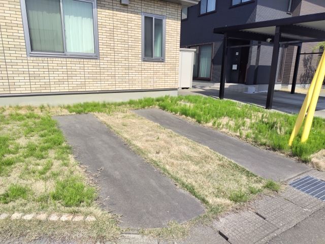 第１２回西条市おかげん祭市民花火大会が行われました - マーブログ