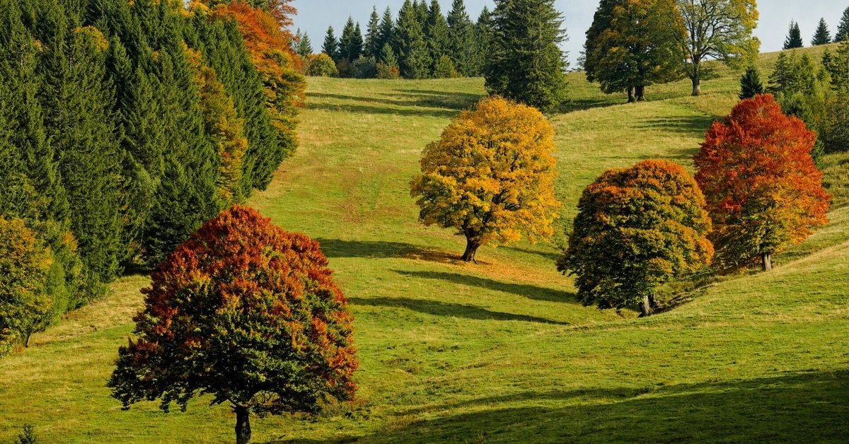 □ 上弦 天一天上 大明日 寅の日 仏滅 三隣亡縁日: 釈迦如来 毘沙門天2025年09月30日の開運情報風水師 きつね金運アップの秘策偉大なる黄金力をその手に