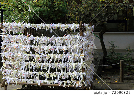 大吉のおみくじの写真・画像素材-Snapmart スナップマート