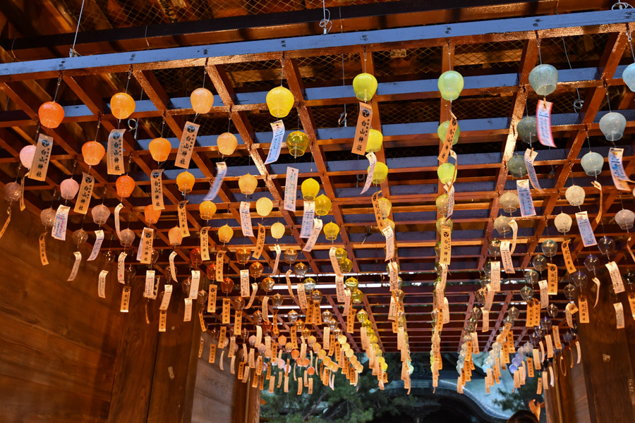 楽天市場 パーティーメガネ バースデー柄 FUN PARTY 5枚入100円ショップ 100円均一 100均一 100均: 100 円雑貨＆日用品卸-BABABA