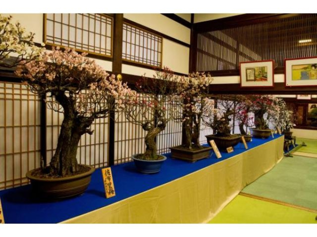 盆梅と刀剣の美「てんま天神梅まつり」大阪天満宮で２月１０日から - 産経ニュース