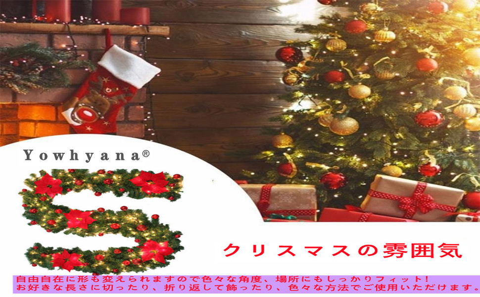 冬が近い！❄ 宮良大EBiDAN NEXT オフィシャルサイト