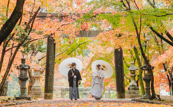 御香宮神社神社・仏閣案内京都結婚日和