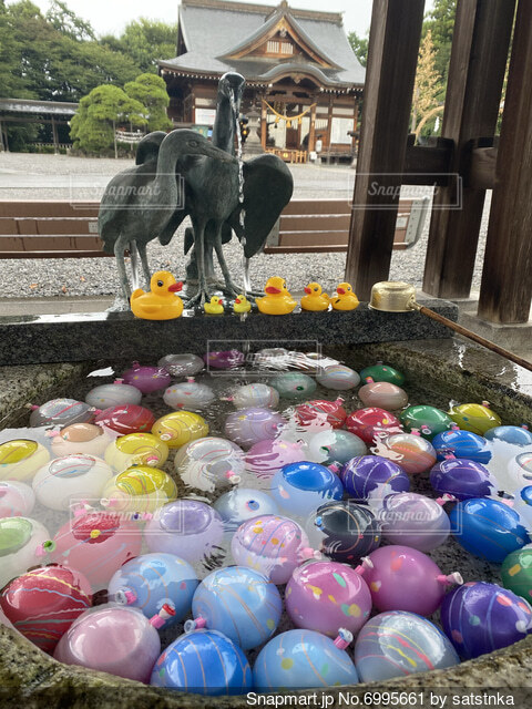 花手水でお出迎え 夏越の大祓へ射水神社：北陸中日新聞Web
