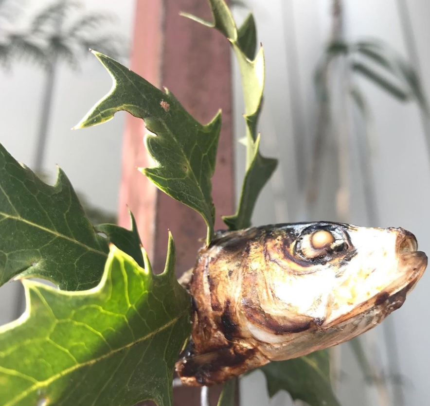 2025年の節分は2月2日！いったいなぜ？節分の由来や節分飾りの意味もご紹介