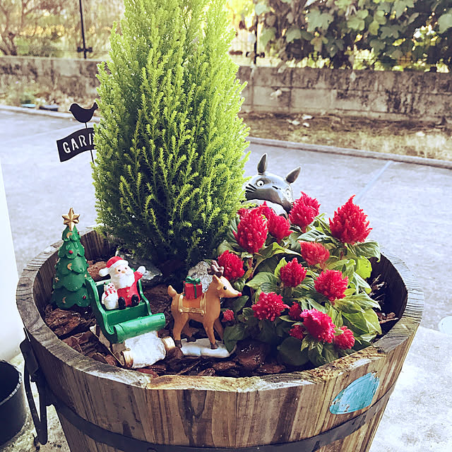 楽天市場 クリスマス ガーデニングの通販