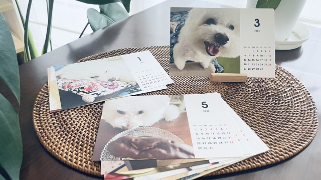 TOLOT卓上カレンダー』口コミ評判を徹底レビュー！愛犬のオリジナルカレンダーが500円！わんこスタイル