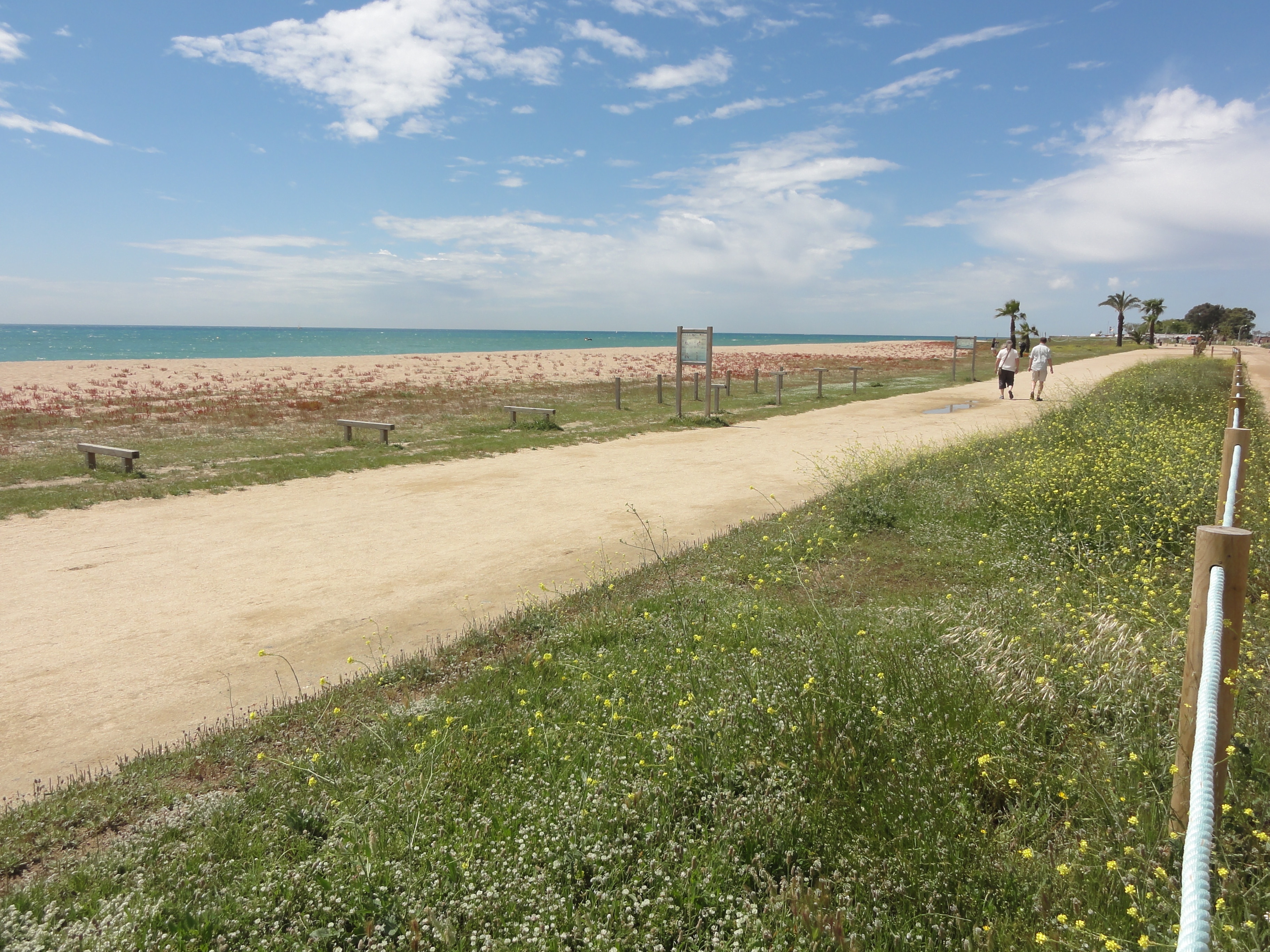 サンタのクリスマスハウス スザンナ ロンチ 』 投票ページ復刊ドットコム