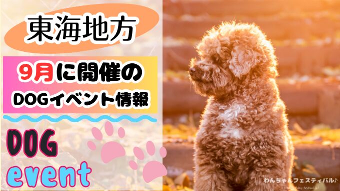 岐阜県のイベントウォーカープラス