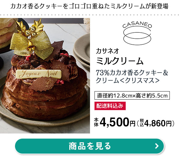 イオンクリスマスケーキ カタログ ２０２３！人気ランキングも紹介